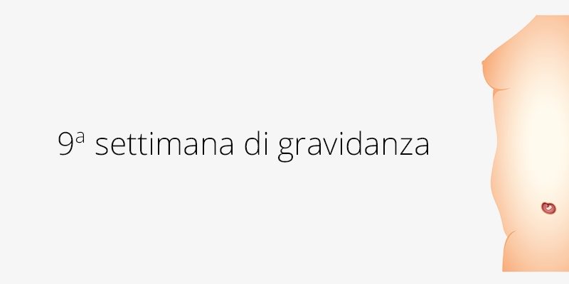 settimana_9