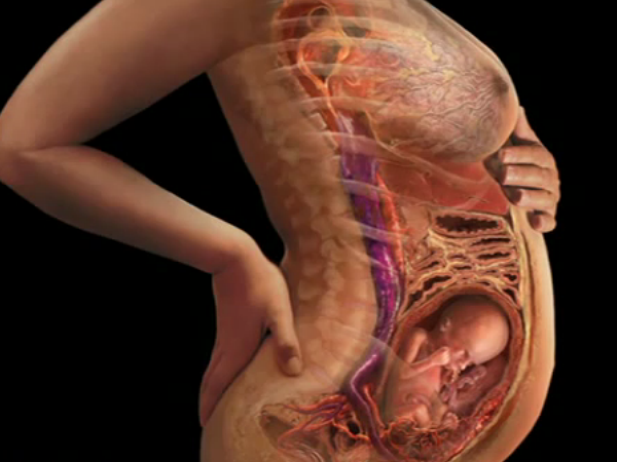 23 неделя беременности выделение с груди (120) фото