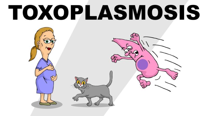 Toxoplasmosi in gravidanza