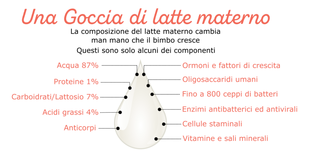 composizione latte materno